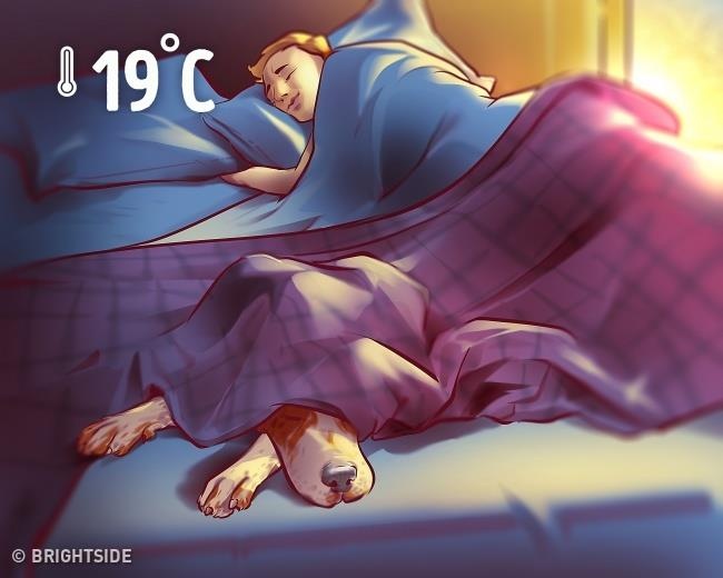 Meo giam can nhanh anh 5