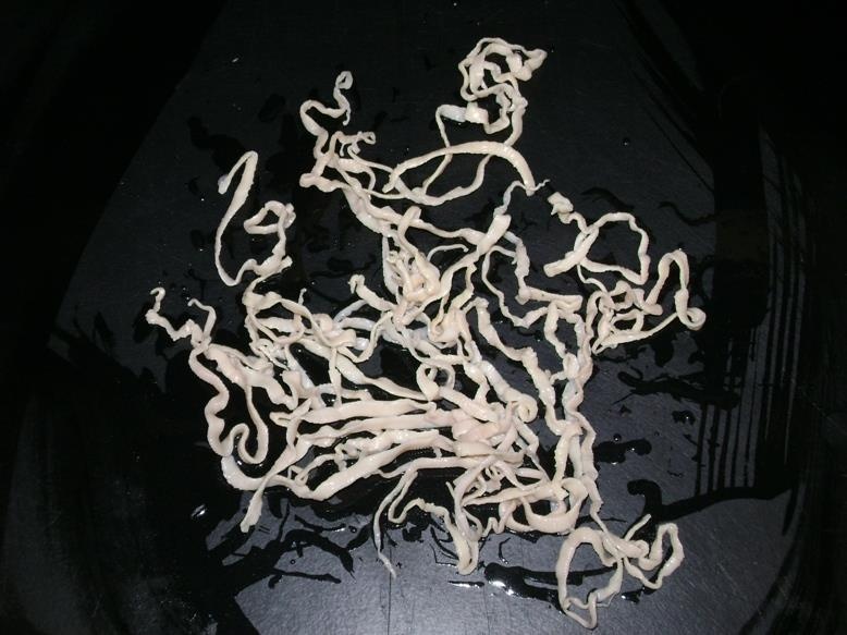 Dau hieu nhiem san lon anh 1