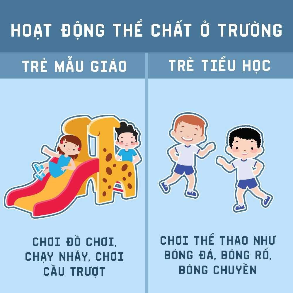 Sự khác biệt giữa mầm non và tiểu học ảnh 3 Su khac biet giua mam non va tieu hoc anh 3