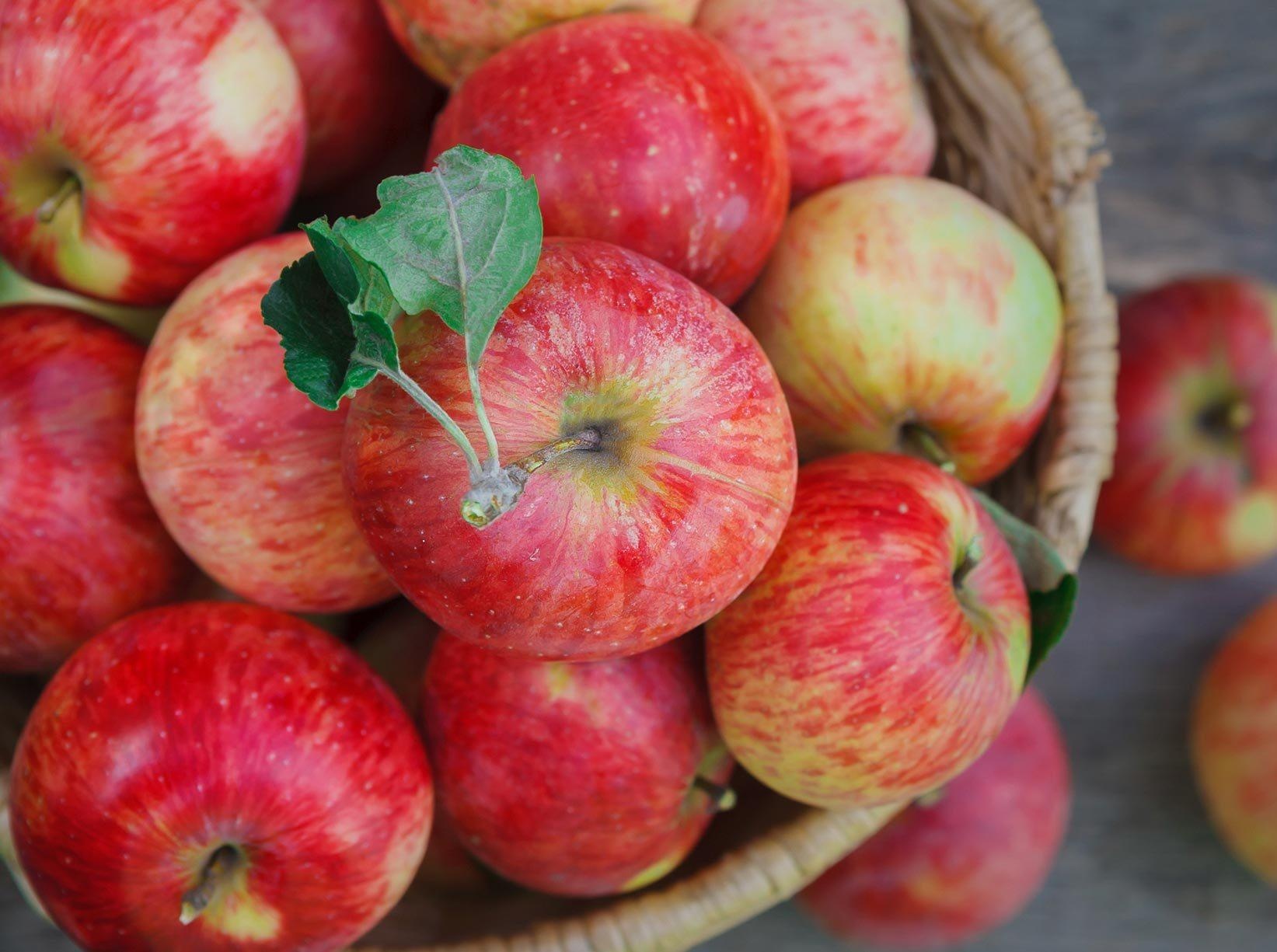 Thuc pham giam say xe anh 5