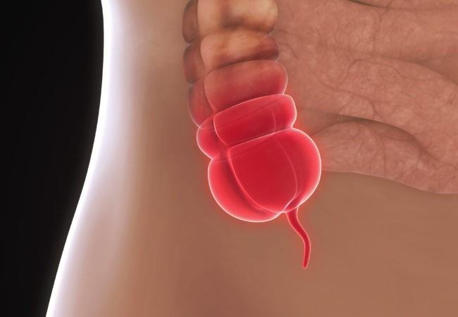 Bo phan huu ich tren co the anh 1