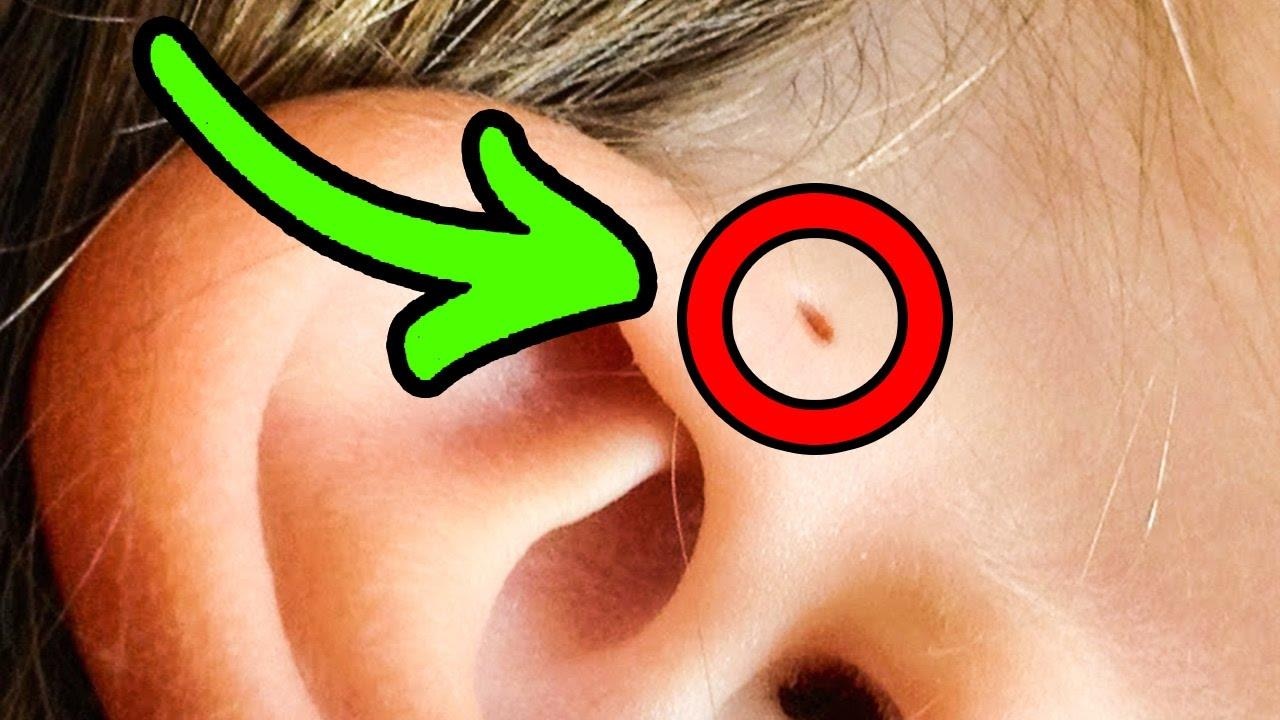 9 bo phan co the tuong vo dung lai co chuc nang thu vi hinh anh