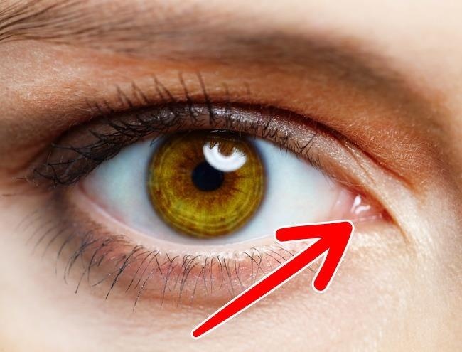 Bo phan huu ich tren co the anh 5