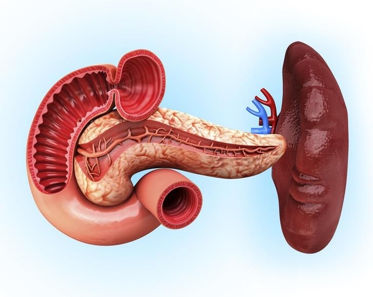 Su that ve co quan trong co the anh 10