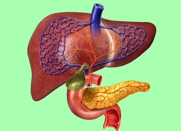 Su that ve co quan trong co the anh 3