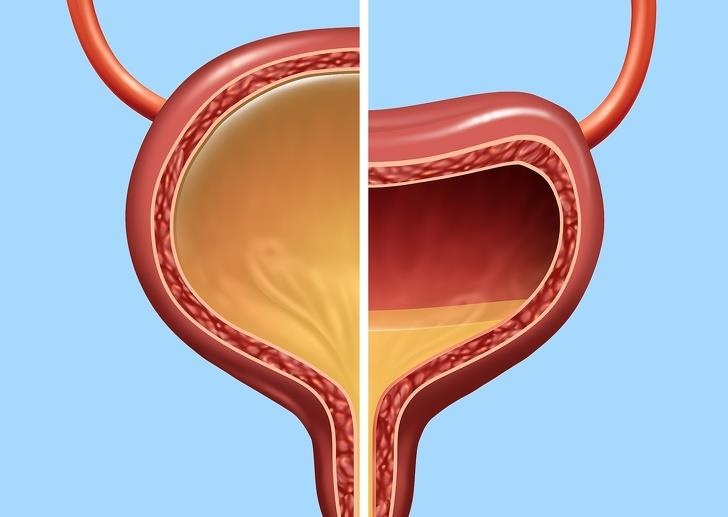 Su that ve co quan trong co the anh 7