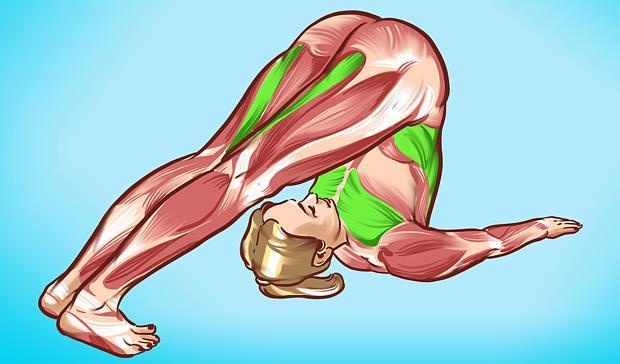 Bai tap ho tro gan anh 1