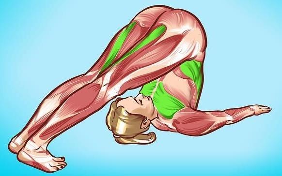 6 bai tap don gian giup ban bao ve gan hinh anh