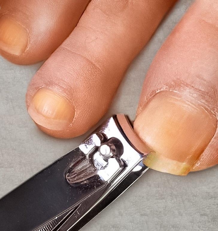 khong dung chung do anh 1