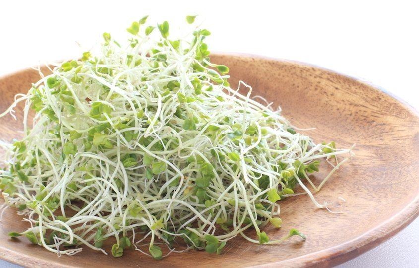 Thuc pham de gay ngo doc anh 9