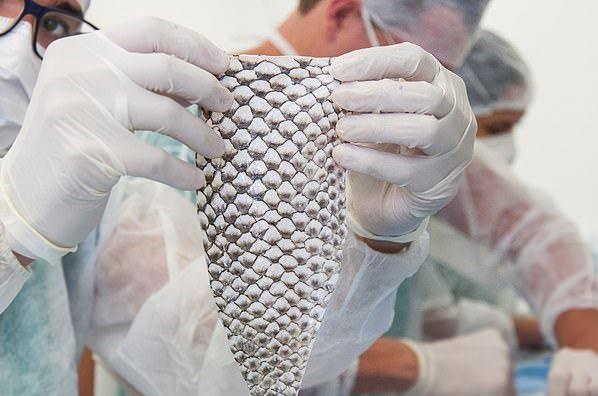 Nguoi phu nu chuyen gioi dau tien duoc tai tao am dao tu da ca hinh anh