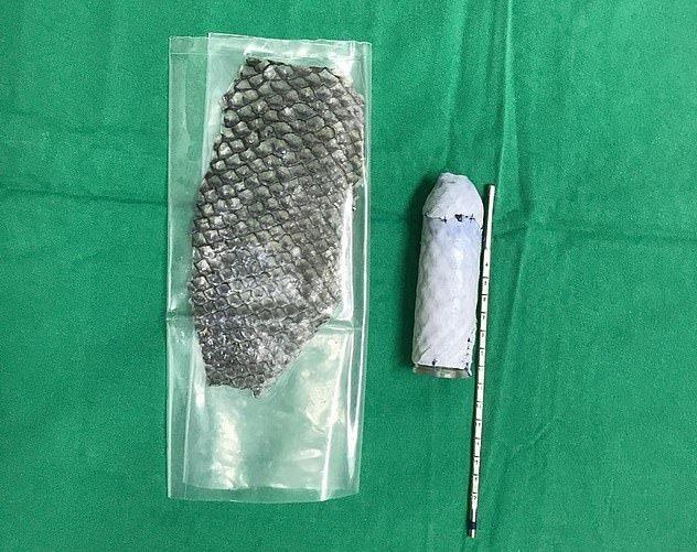 Tai tao am dao tu da ca anh 2