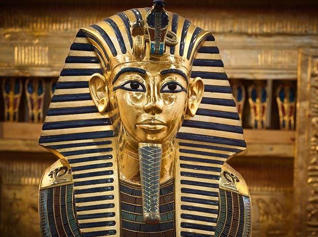 Loài rắn cắn chết nữ hoàng Cleopatra ảnh 4 Loai ran can chet nu hoang Cleopatra anh 4