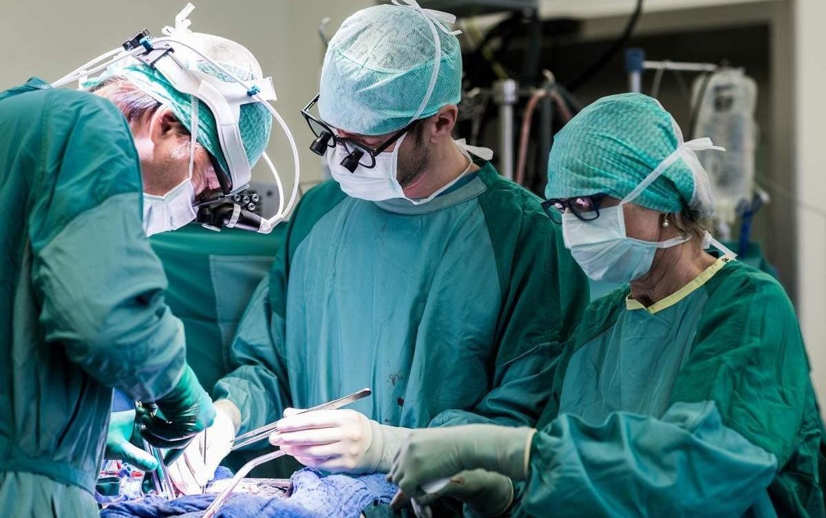 Nguoi dan ong An Do nghien an ban chai, thia, dao hinh anh