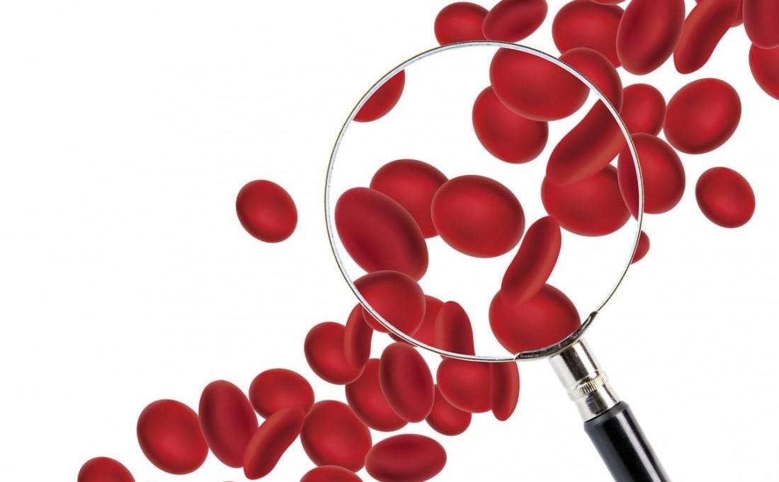 Nhom mau hiem nhat the gioi anh 1