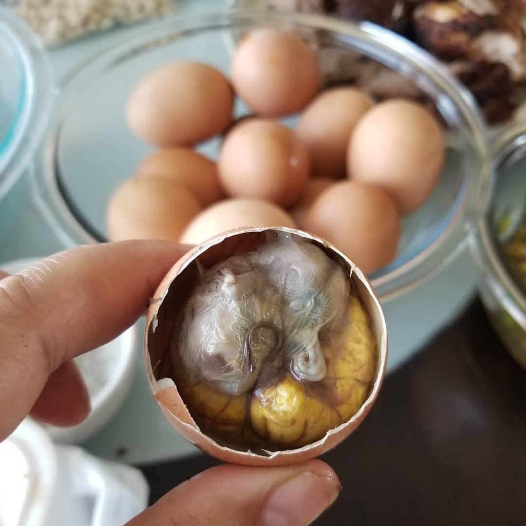 trứng vịt lộn ảnh 5 trung vit lon anh 5