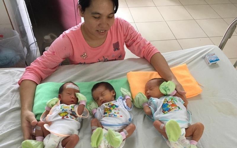 San phu o Hue mang tam thai tu nhien hiem gap 'vuot can' thanh cong hinh anh