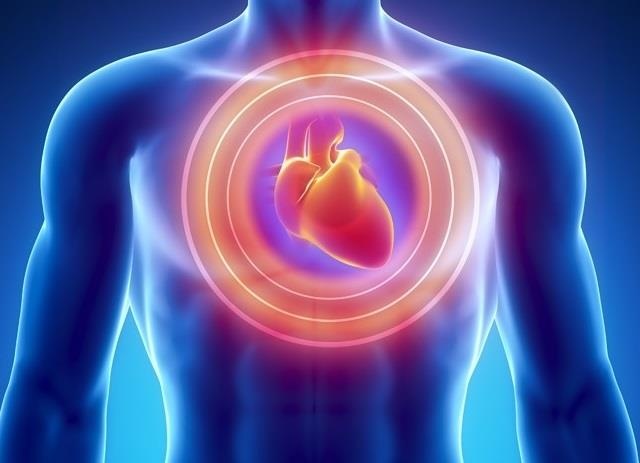 Canh bao dau tim truoc mot thang anh 6