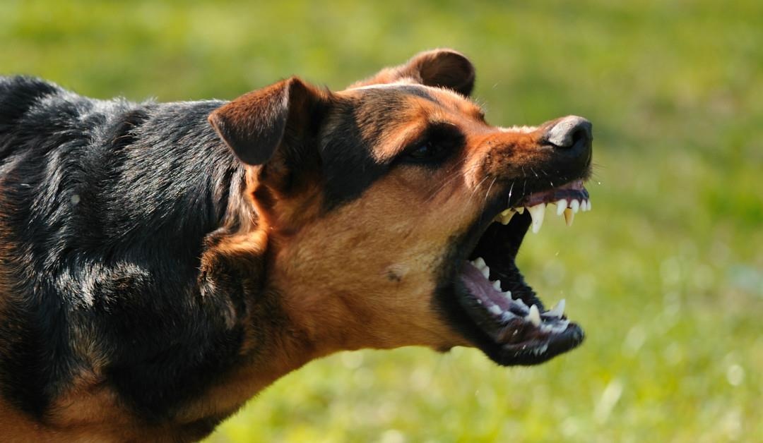 Be 2 tuoi rach dau, lo xuong so vi bi cho nha tan cong hinh anh