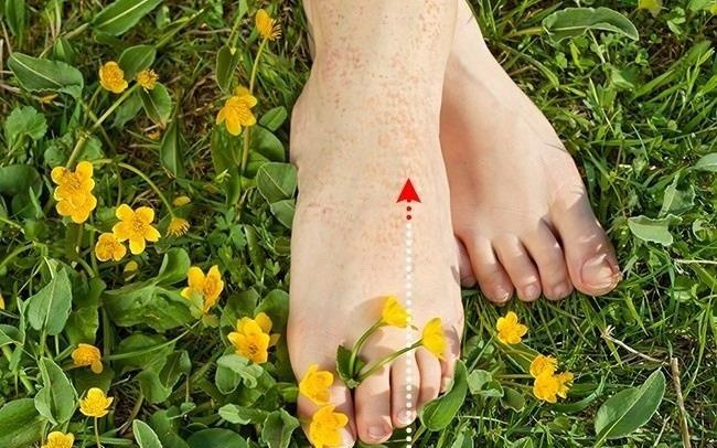 Chan sung, dau - dau hieu canh bao benh nguy hiem hinh anh