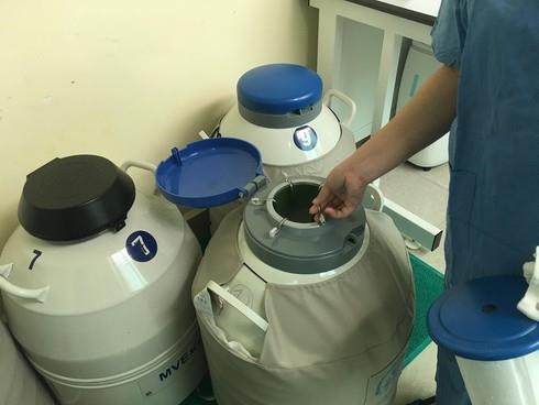 Xin tinh trùng ảnh 1 Xin tinh trung anh 1