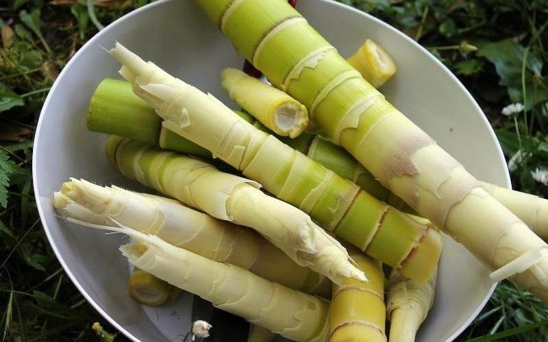 Be gai 6 tuoi phai rach da day cap cuu vi an nhieu mang va hong hinh anh