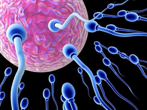 Đồng nghiệp gạ gẫm ảnh 1 Dong nghiep ga gam anh 1