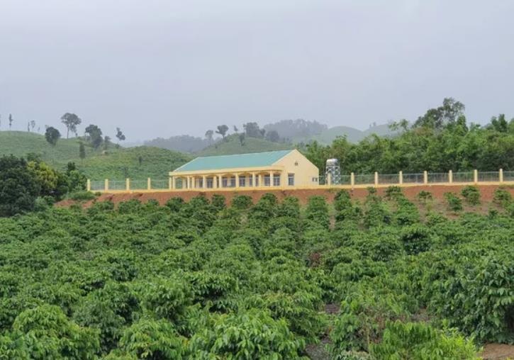 Thiếu giáo viên ảnh 2 Thieu giao vien anh 2