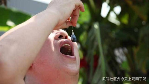 Tổn thương não vì ăn mật rắn ảnh 2 Ton thuong nao vi an mat ran anh 2