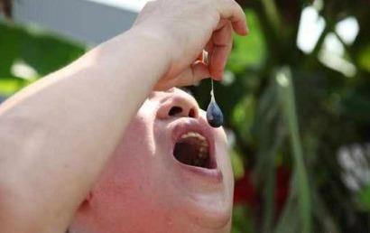 Ton thuong nao vinh vien vi an mat ran hinh anh