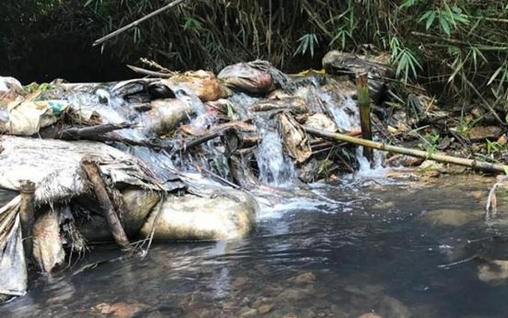 Nuoc nhiem dau nguy hai den suc khoe the nao? hinh anh