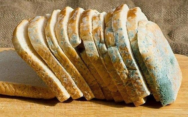 Dieu gi xay ra neu ban an banh mi bi moc? hinh anh