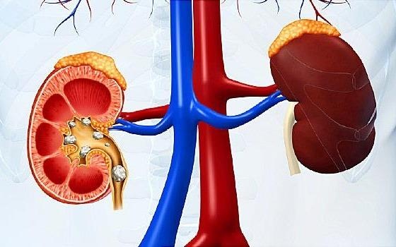 Soi than hinh thanh nhu the nao? hinh anh