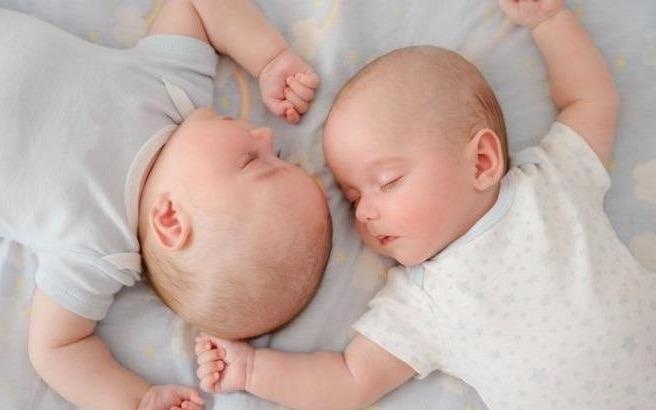 Tai sao co sinh doi cung trung va khac trung? hinh anh