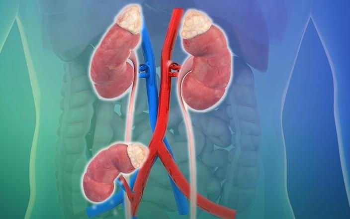 Nguoi phu nu co 3 qua than hinh anh