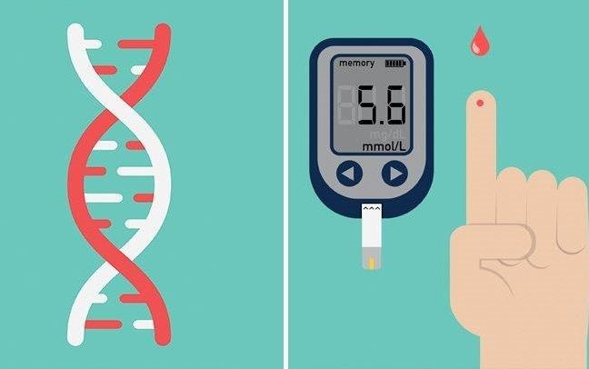 Benh tieu duong co di truyen khong? hinh anh