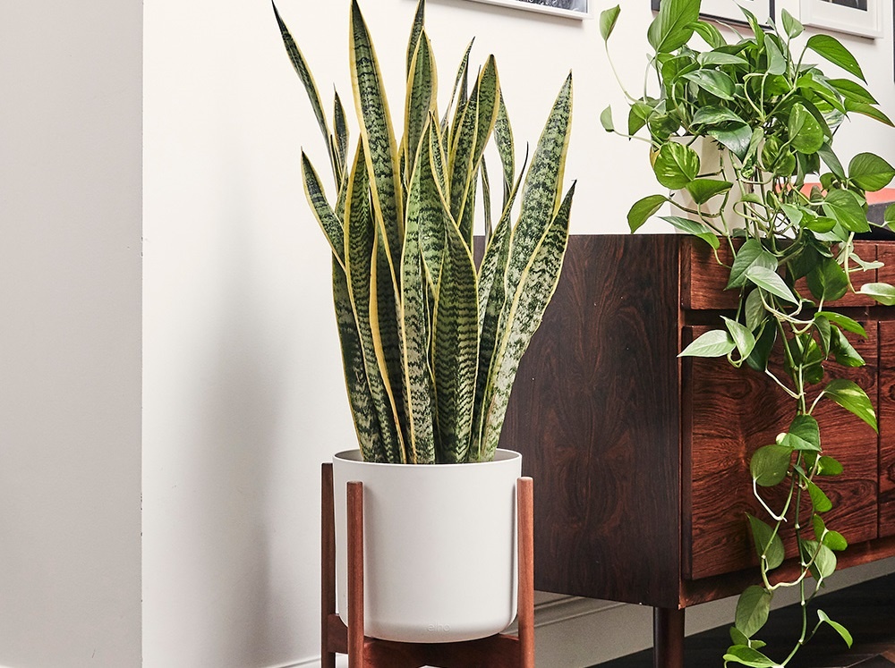 O nhiem khong khi doc hai anh 6