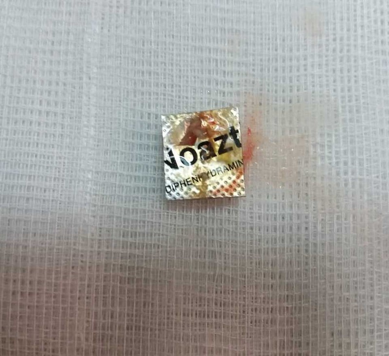 Cu ong hoc di vat anh 1