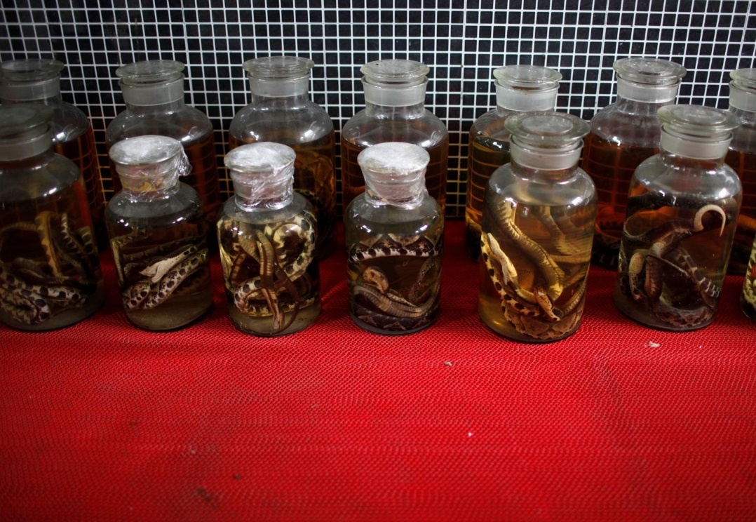 Con nguoi nhiem benh tu dong vat anh 1