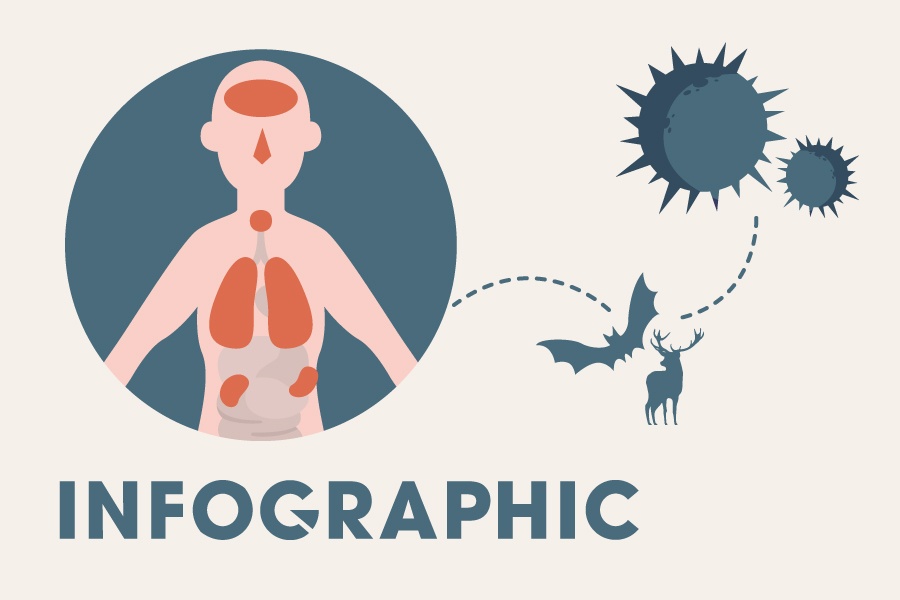 Hon 300 nguoi chet vi dich corona hinh anh