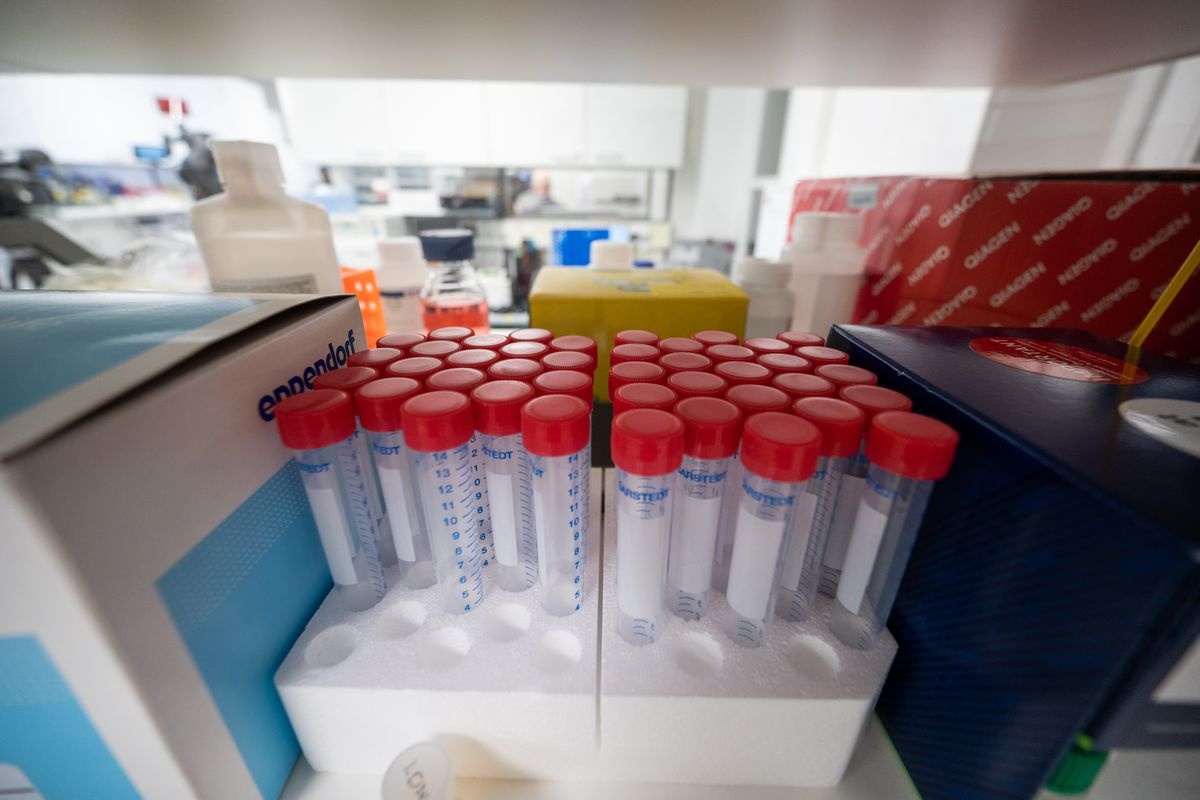 Thuoc chong virus corona anh 1