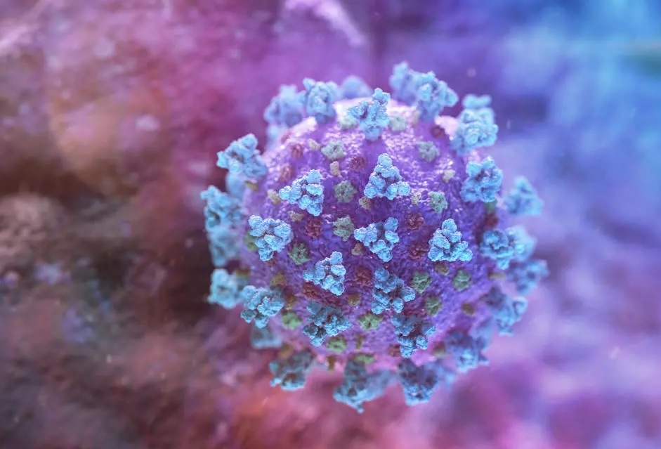 Dieu gi xay ra khi virus dot bien? hinh anh