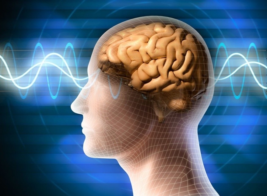 Nao bo co the hoat dong 10 phut sau khi chet hinh anh