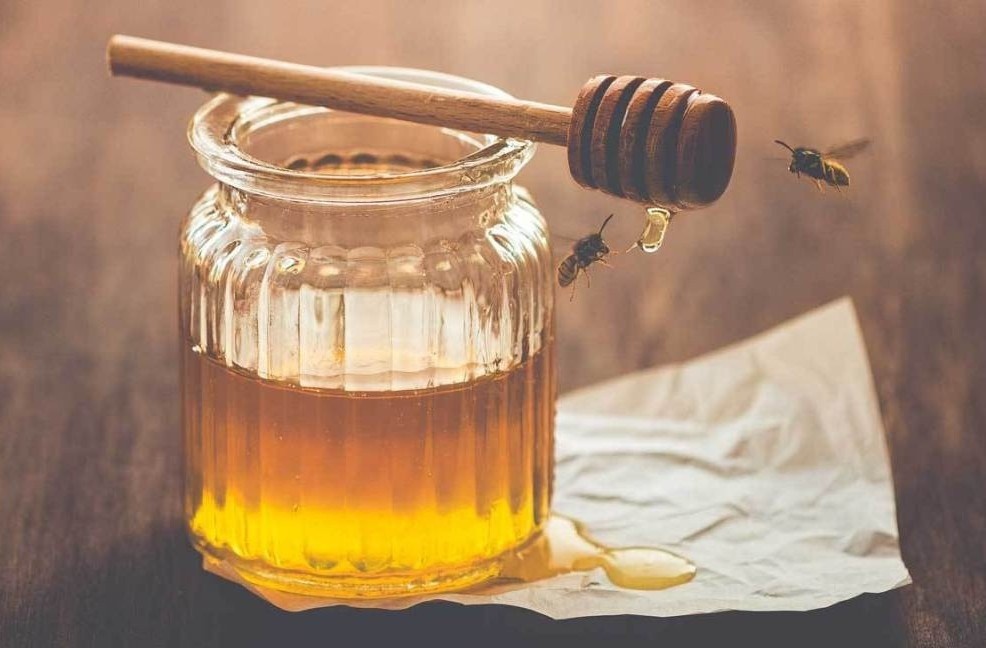 Tai sao mat ong de lau khong bi hong? hinh anh