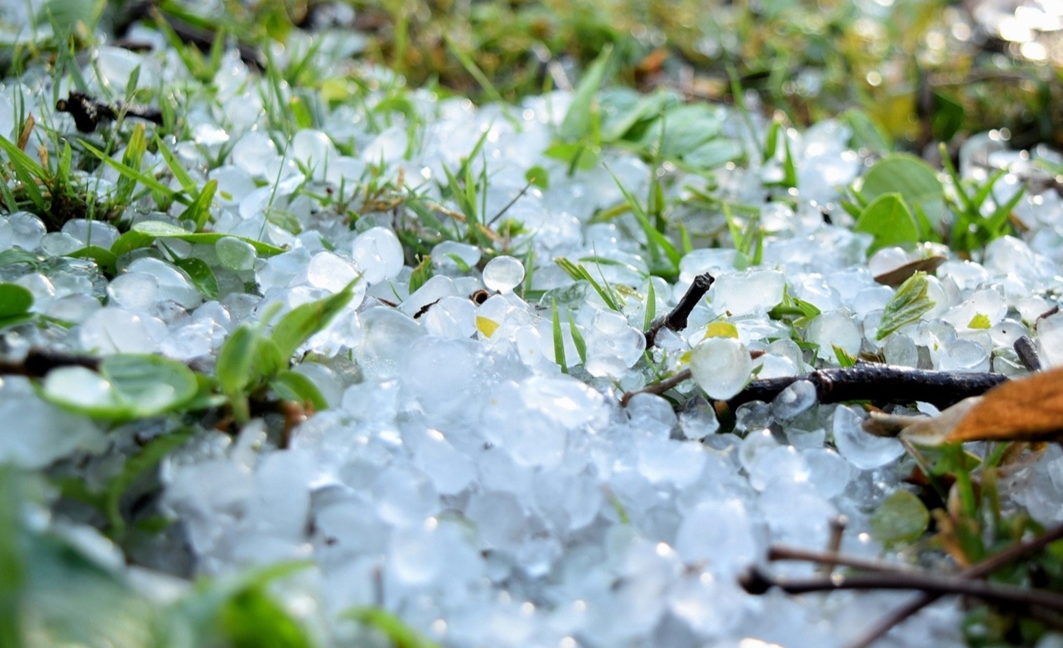 Vi sao co hien tuong mua da? hinh anh