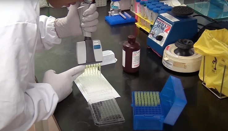 Kháng thể chống virus corona ảnh 1 Khang the chong virus corona anh 1