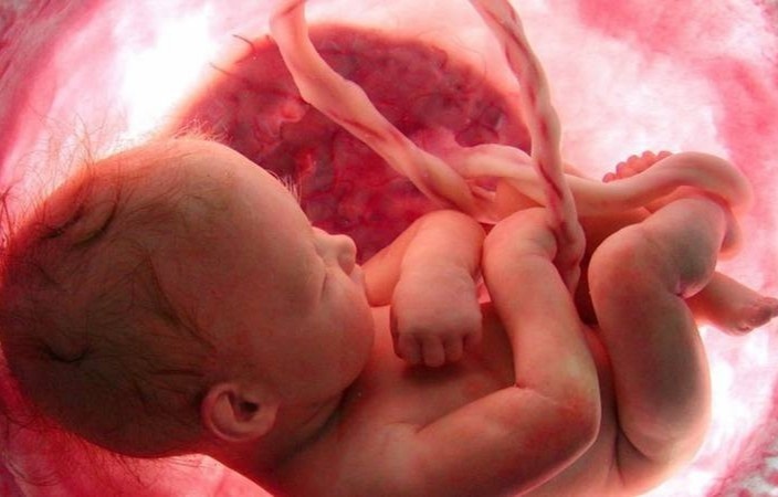 Em be co biet nam mo tu trong bung me? hinh anh