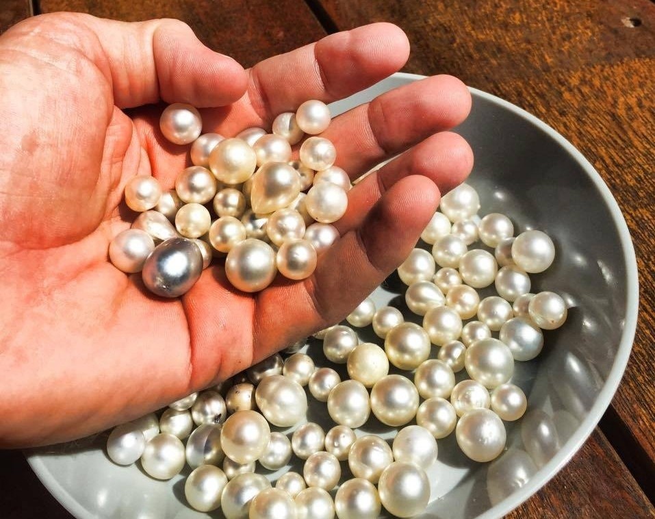 Ngoc trai hinh thanh nhu the nao? hinh anh