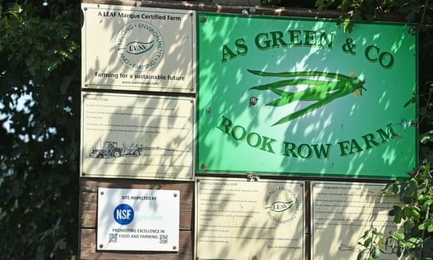 73 nguoi mac Covid-19 tai nong trai Anh anh 1