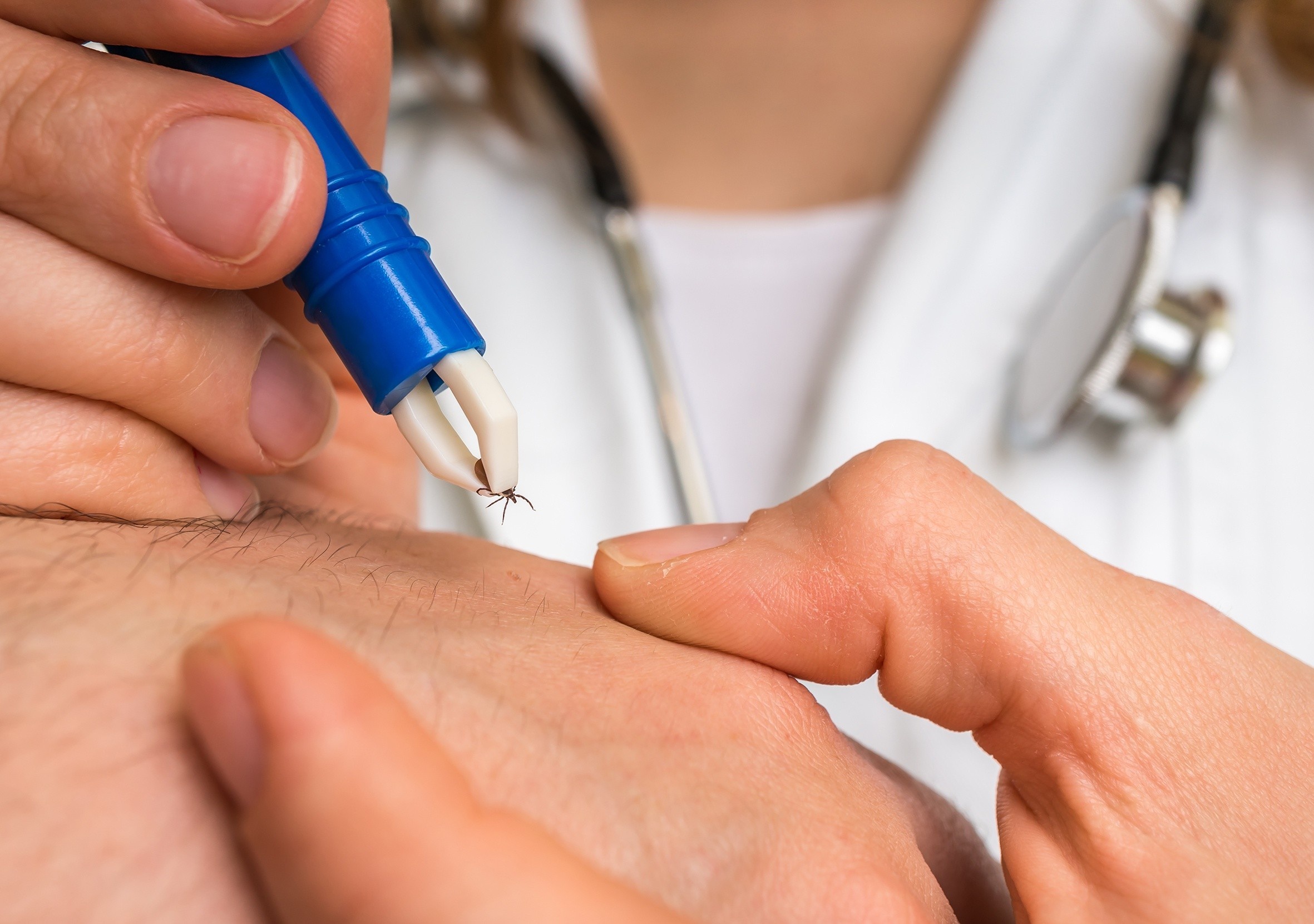 Bo ve nguy hiem the nao? hinh anh